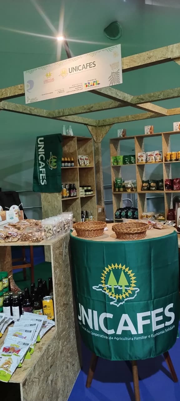 WhatsApp Image 2025-12-03 at 22.33.02